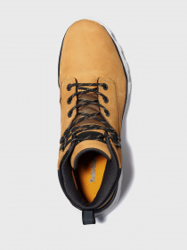 Черевики Timberland Treeline модель TB0A28KU231 Фото
