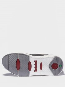 Кроссовки Timberland Urban Move модель TB0A2JTZL96 Фото