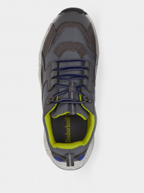 Кросівки Timberland Ripcord модель TB0A2QTH033 Фото