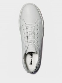 Полуботинки Timberland Richelieu Adventure 2.0 модель TB0A2JYP100 Фото