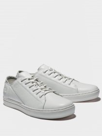 Напівчеревики Timberland Richelieu Adventure 2.0 модель TB0A2JYP100 Фото