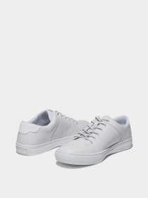 Напівчеревики Timberland Adventure 2.0 модель TB0A4419100 Фото