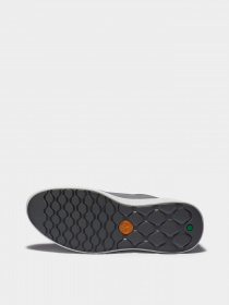 Кросівки повсякденні Timberland Bradstreet Ultra модель TB0A2QA1085 Фото