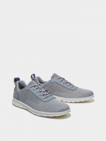 Кроссовки Timberland Graydon модель TB0A2QWN085 Фото