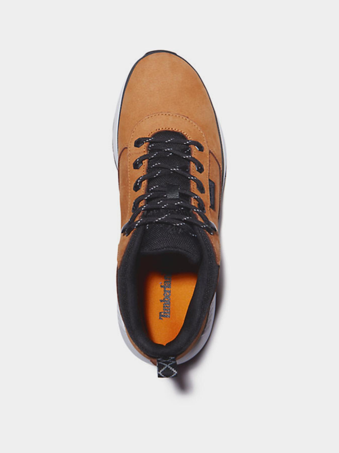 Кросівки Timberland Field Trekker модель TB0A2A15231 Фото