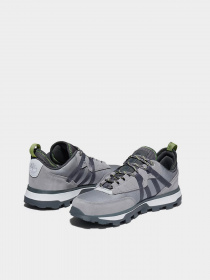 Кроссовки повседневные Timberland Treeline модель TB0A2BW6085 Фото