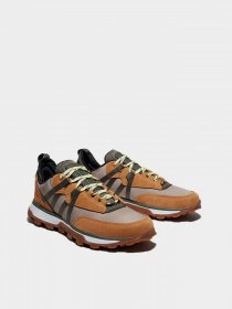 Кроссовки повседневные Timberland Treeline модель TB0A2BNZ231 Кроссовки повседневные Timberland Treeline модель TB0A2BNZ231 Фото