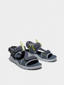 Сандалії Timberland Ripcord 2-Strap модель TB0A2AFA033 Фото