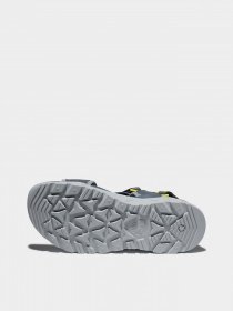 Сандалії Timberland Ripcord 2-Strap модель TB0A2AFA033 Фото