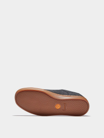 Кеды низкие Timberland Adventure 2.0 модель TB0A2GZH015 Фото