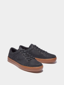 Кеды низкие Timberland Adventure 2.0 модель TB0A2GZH015 Фото