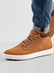 Ботинки Timberland Ashwood Park модель TB0A1Z3K231 Фото