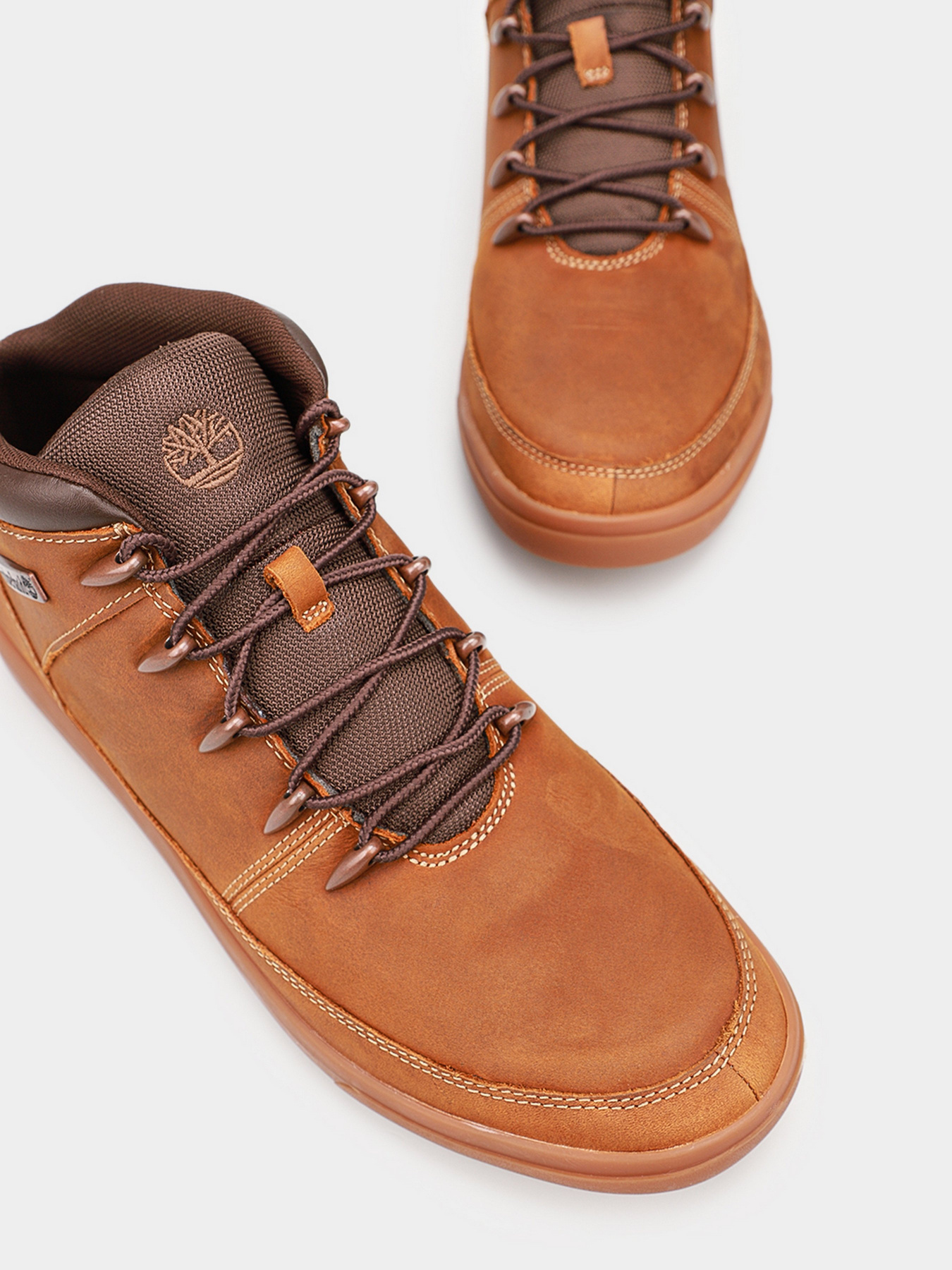 Ботинки Timberland Ashwood Park модель TB0A2GRZ231 Фото