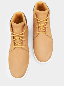 Ботинки Timberland Graydon модель TB0A412S231 Фото