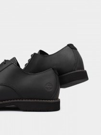 Туфли Timberland WOODHULL модель TB0A2CWA001 Фото
