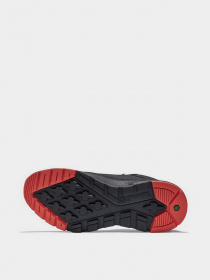 Ботинки Timberland Field Trekker модель TB0A2FYR001 Ботинки Timberland Field Trekker модель TB0A2FYR001 Фото