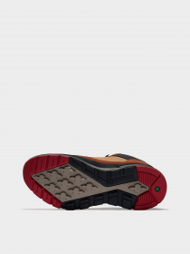 Ботинки Timberland FIELD TREKKER модель TB0A2DG2F13 Фото