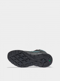 Ботинки Timberland Field Trekker Nl Sky модель TB0A2H69015 Фото