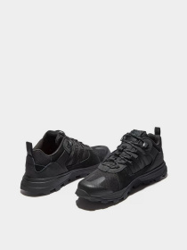 Кроссовки повседневные Timberland Treeline Str модель TB0A2EUE015 Фото