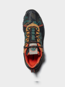 Кросівки повсякденні Timberland TREELINE модель TB0A2EKN231 Фото