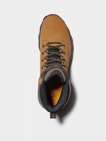 Ботинки Timberland Treeline Hiker модель TB0A2FNA231 Фото