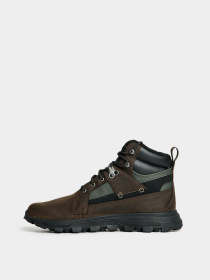 Черевики Timberland Treeline Waterproof Hiking модель TB0A2ECH931 Фото
