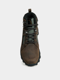 Черевики Timberland Treeline Waterproof Hiking модель TB0A2ECH931 Фото