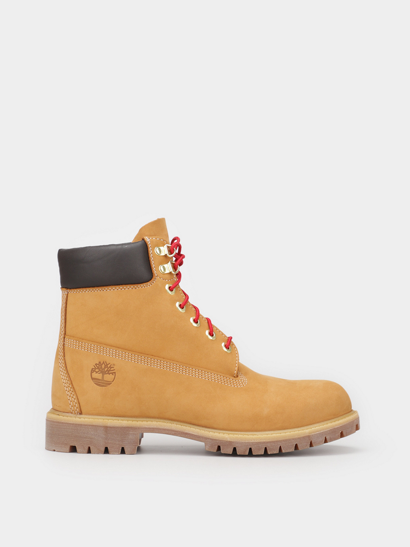 Ботинки Timberland Premium 6 Inch Luxe модель TB0A2GHN231 Фото