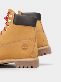 Ботинки Timberland Premium 6 Inch Luxe модель TB0A2GHN231 Фото
