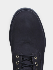 Ботинки Timberland Premium 6-Inch Waterproof модель TB0A288J019 Фото