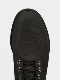 Ботинки Timberland 6 In Basic модель TB0A27Q9015 Ботинки Timberland 6 In Basic модель TB0A27Q9015 Фото