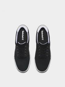 Кеды низкие Timberland Adventure 2.0 Trainer модель TB0A29BR015 Фото