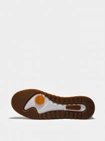 Кроссовки Timberland Miami Coast Lthr Sneaker модель TB0A2G6T100 Фото