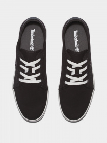 Кеди низькі Timberland SkapePk Canv VulcOx Basic Модель TB0A27PX015 Фото