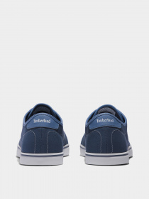 Кеды низкие Timberland Shape Park модель TB0A27TE432 Фото