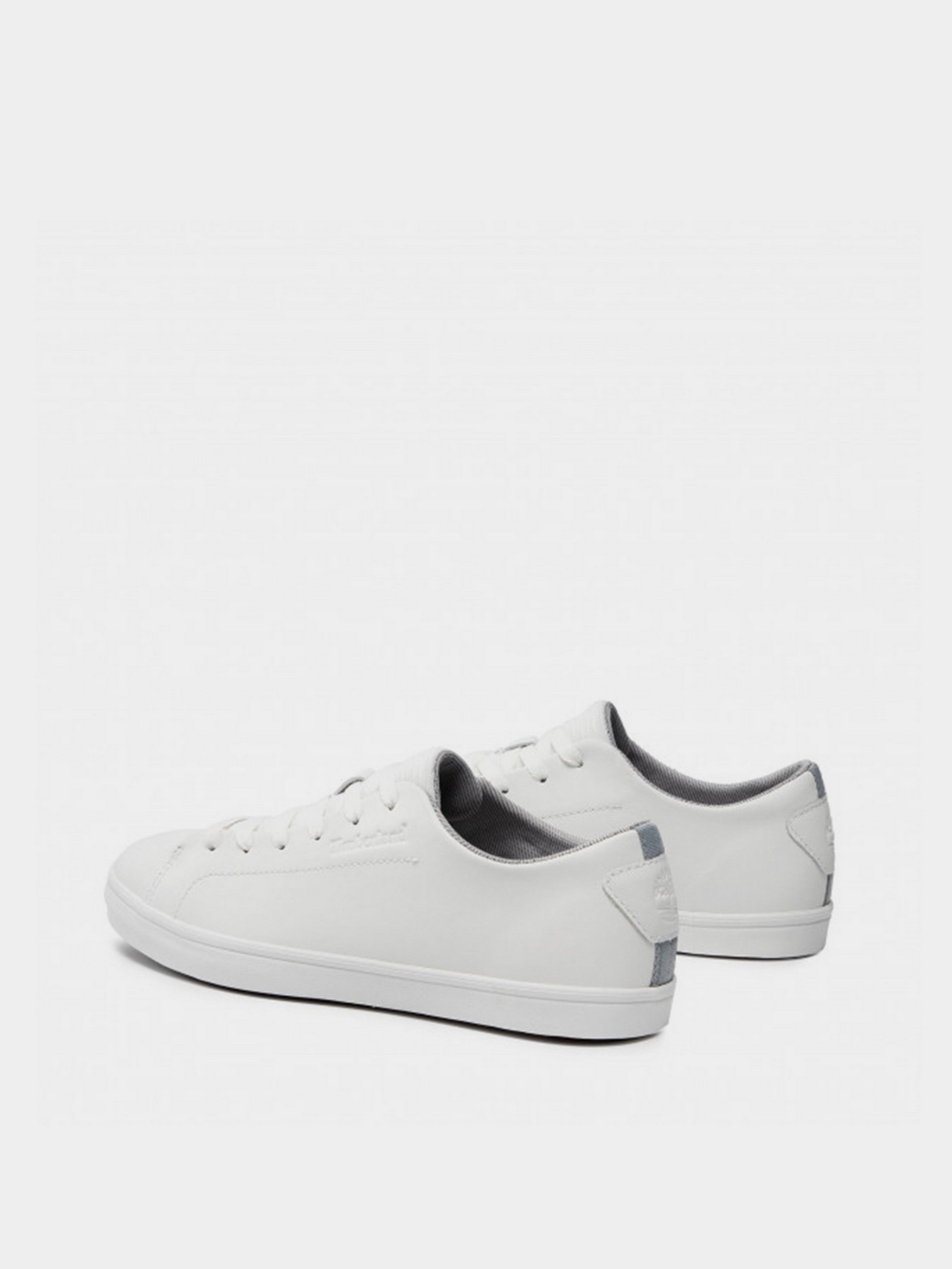 Кеды низкие Timberland Skape Park модель TB0A3ZY3100 Фото