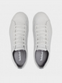 Кеди низькі Timberland Skape Park модель TB0A3ZY3100 Фото