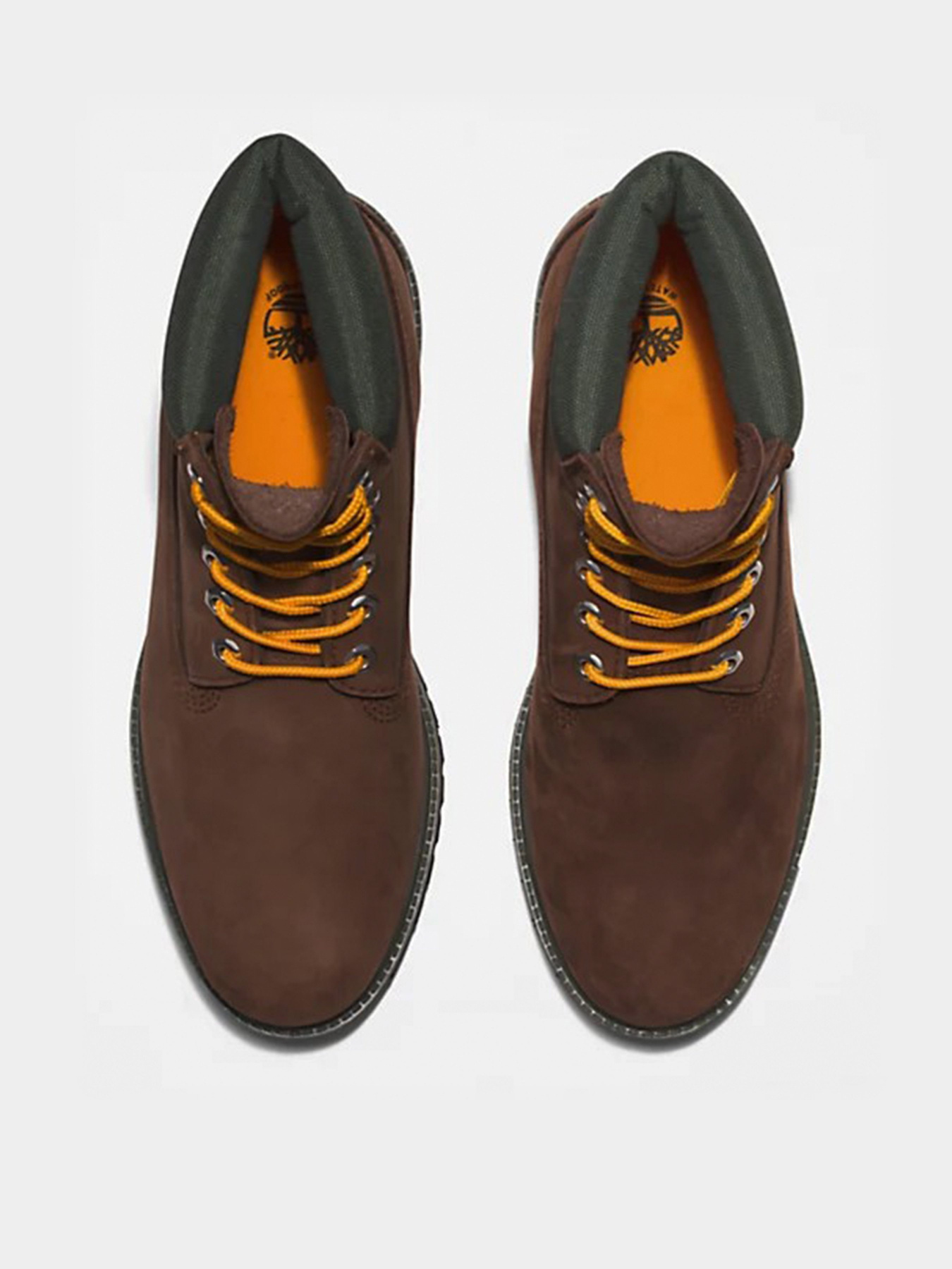 Черевики Timberland  Premium 6 модель TB0A2CX8931 Фото