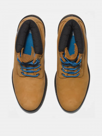 Ботинки Timberland Premium 6 inch модель TB0A2DJF231 Фото