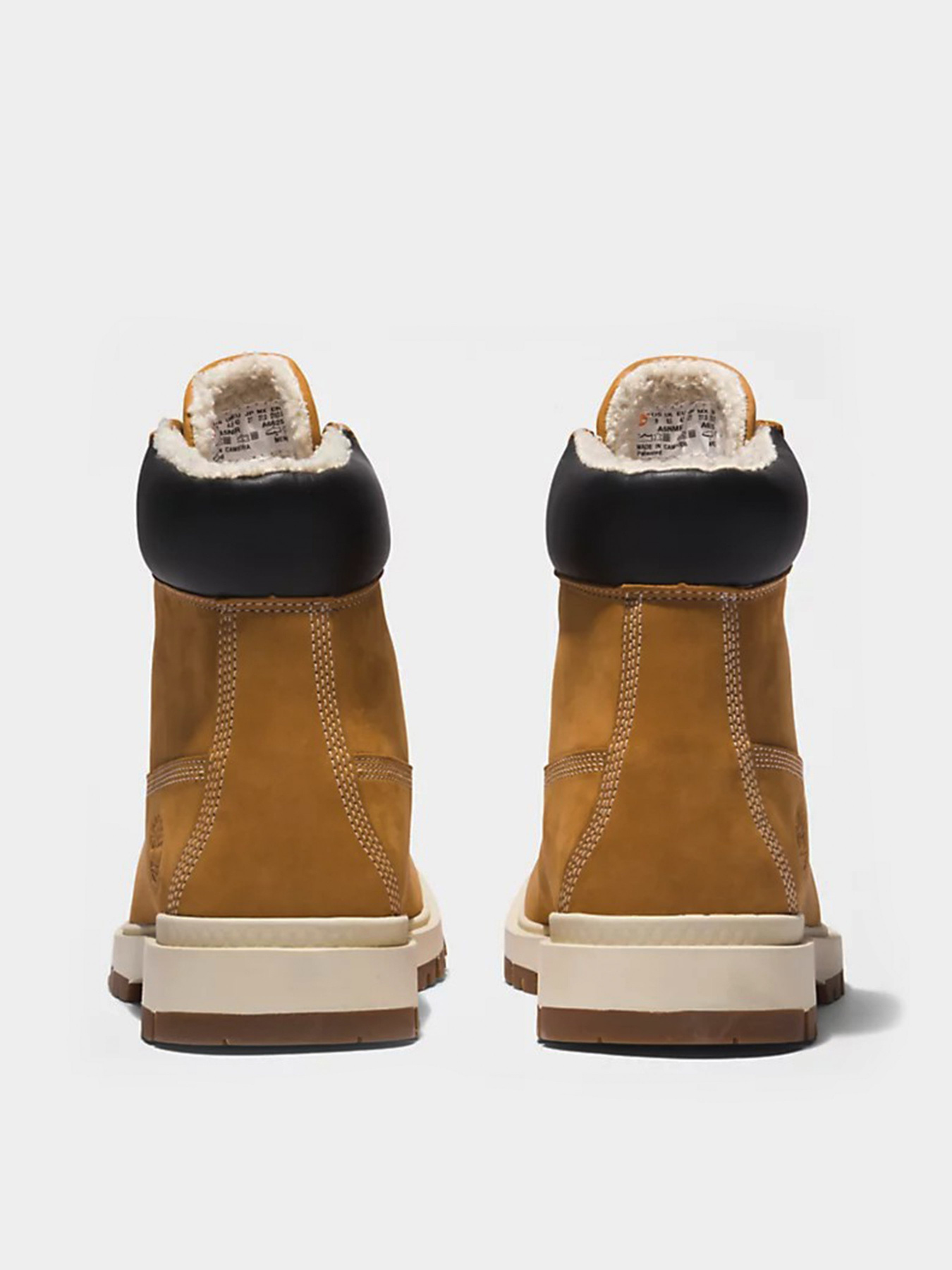 Черевики Timberland TREE VAULT 6 INCH модель TB0A5NMR231 Фото