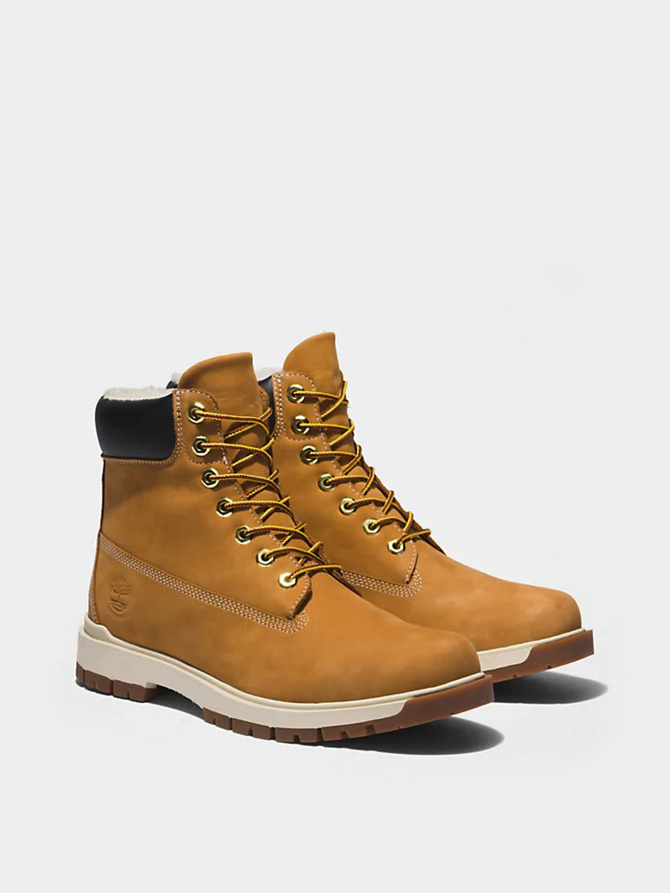Черевики Timberland TREE VAULT 6 INCH модель TB0A5NMR231 Фото