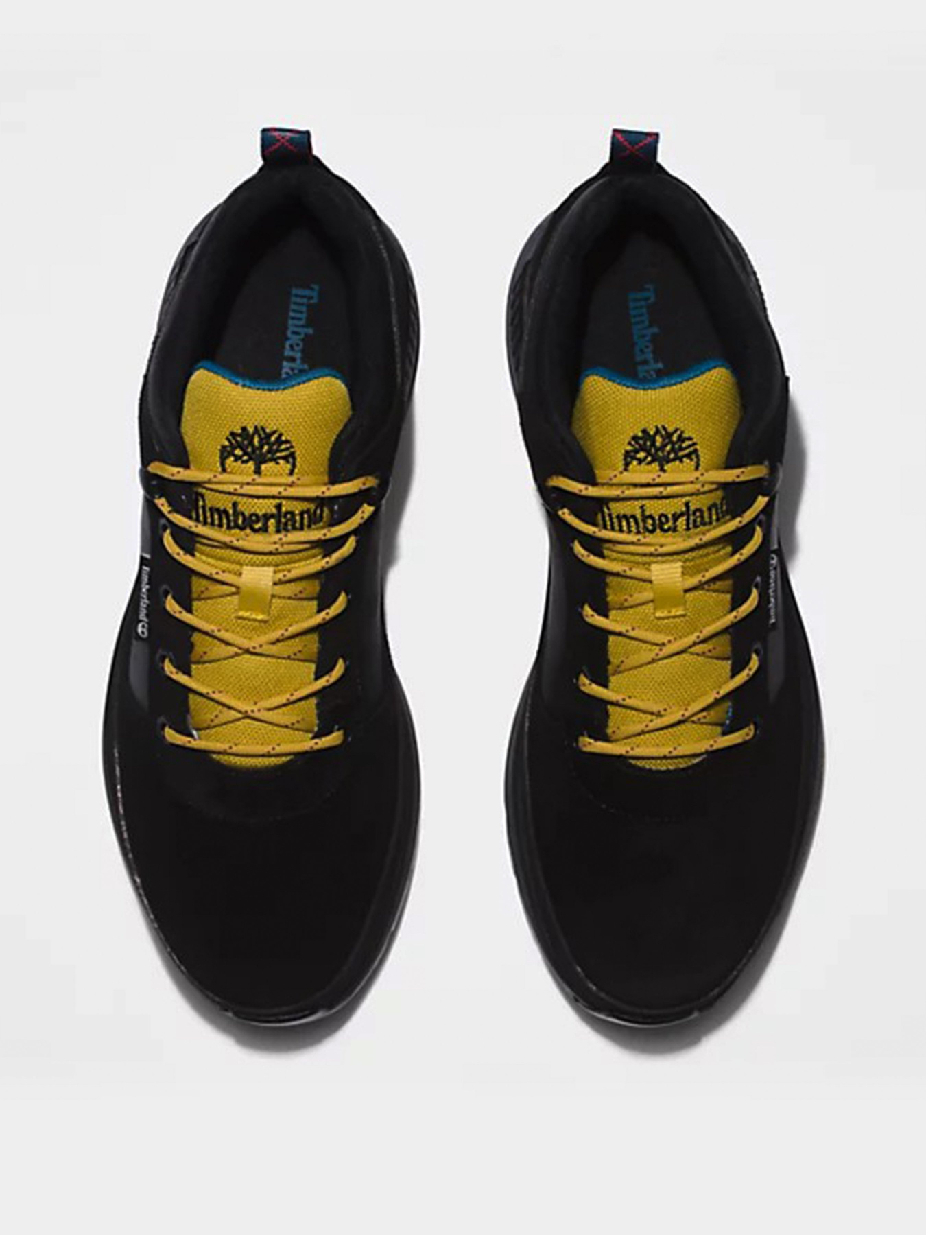 Кроссовки повседневные Timberland FIELD TREKKER модель TB0A5NDQ015 Фото