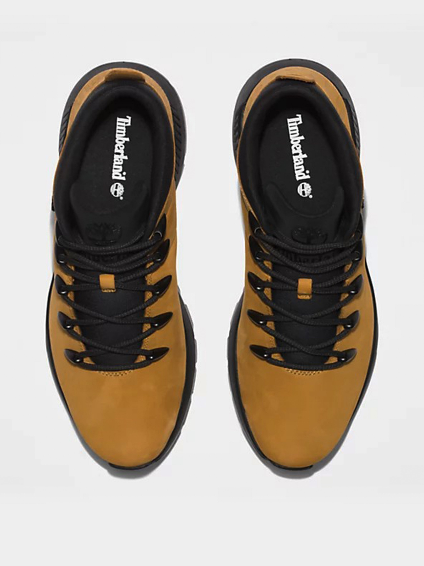 Черевики Timberland Sprint Trekker модель TB0A2FEP231 Фото