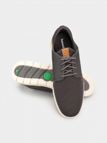 Кроссовки Timberland Graydon модель TB0A1XCL033 Фото