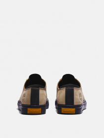 Кеды низкие Timberland Adventure 2.0 модель TB0A5TEWDH4 Фото