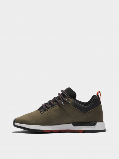 Кроссовки Timberland Field Trekker модель TB0A5QMYA58 — фото - INTERTOP