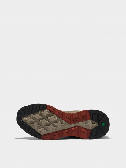 Кроссовки Timberland Field Trekker модель TB0A5QMYA58 — фото 4 - INTERTOP