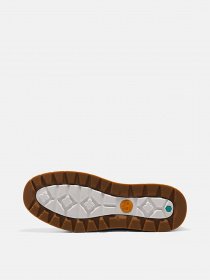 Кеды низкие Timberland Maple Grove модель TB0A5PN4015 Фото