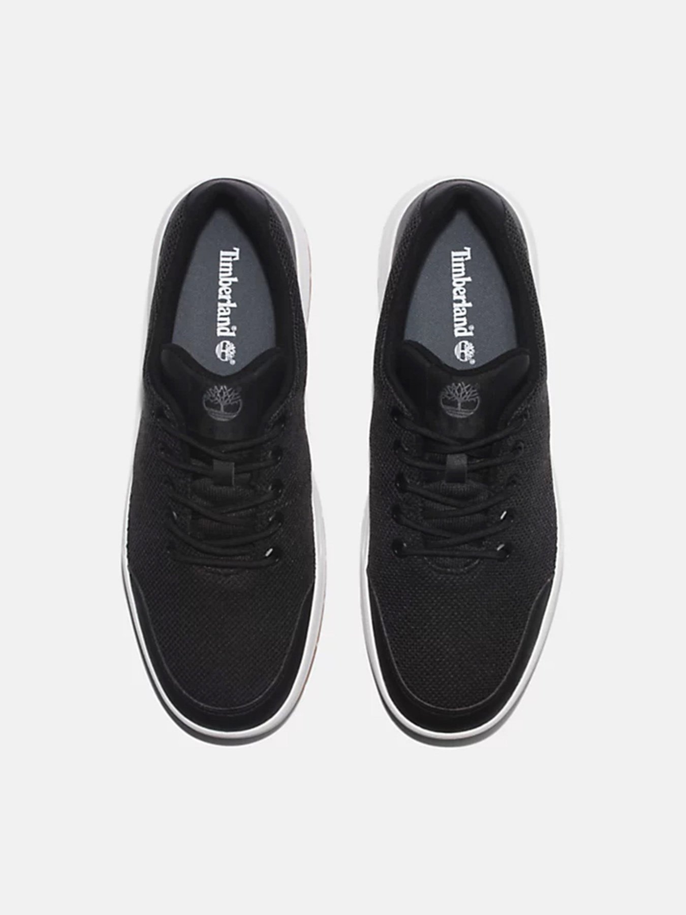 Кеди низькі Timberland Maple Grove модель TB0A5PN4015 Фото