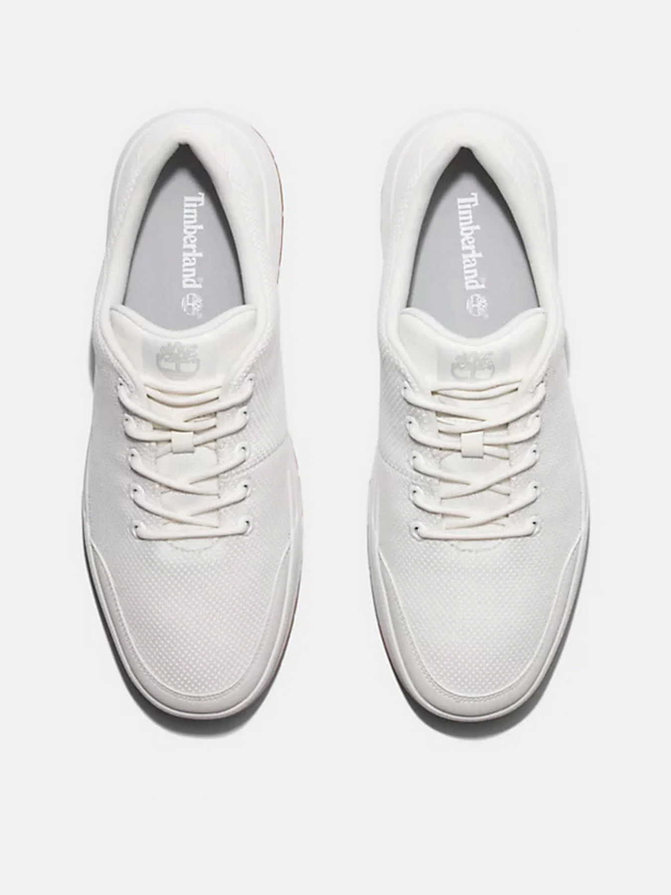 Кеди низькі Timberland Maple Grove модель TB0A5PNRDR2 Фото